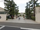東京女子大学(大学/短大/専門学校)まで1300m COURT F・O 吉祥寺