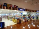 ハックドラッグ砧店(ドラッグストア)まで140m ＳＡＮＫＥＩハイツ