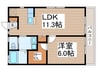 シャテロハイム 1LDKの間取り