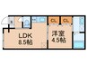 Lotus 1LDKの間取り