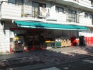 まいばすけっと綱島東５丁目店(スーパー)まで530m エムロ－ドセフィラＡ棟