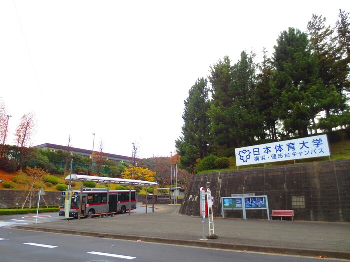 日本体育大学(大学/短大/専門学校)まで3000m ヴィラ玉川学園