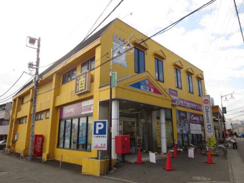 小田原百貨店渋沢店(スーパー)まで305m ヒーローズC