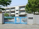 川口市立中居小学校(小学校)まで500m サイトウスクエア２１