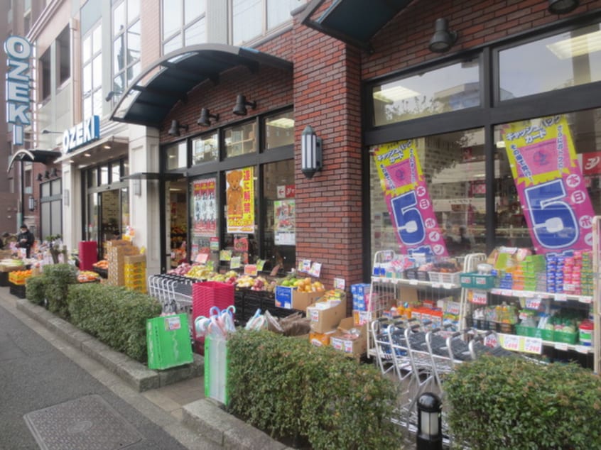 オオゼキ野沢店(スーパー)まで555m 古川ハウス