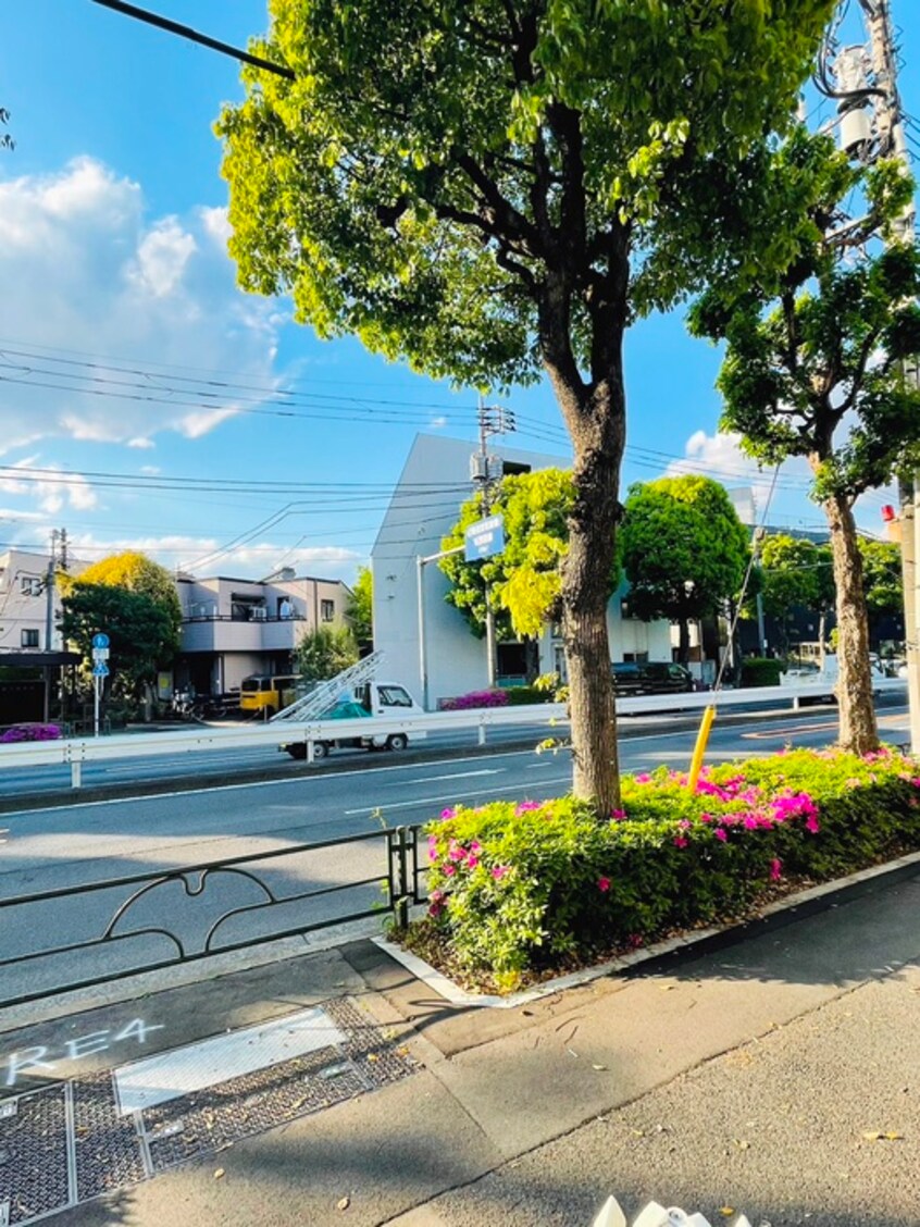 室内からの展望 セ－フ新桜台