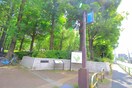 城北中央公園(公園)まで600m ラポール上板橋（407）