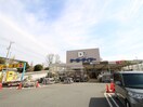 Ｄ2(電気量販店/ホームセンター)まで1520m グロリアス