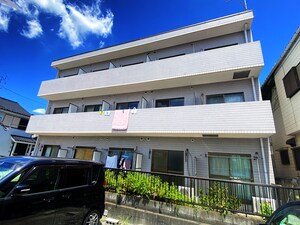 ベルドゥムール草加金明（201）