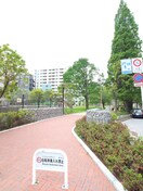 あかつき公園(公園)まで550m レジディア築地