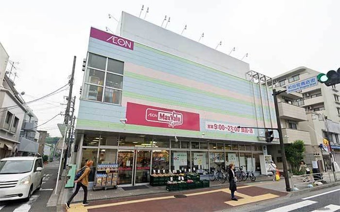 イオン(スーパー)まで550m プライムヒルズ和田町