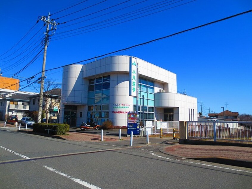 ＪＡ八王子(銀行)まで399m シティコート八王子