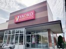 YAOKO(スーパー)まで318m グランシエラデュオ