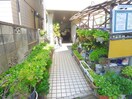 エントランス部分 ホワイトハイツ