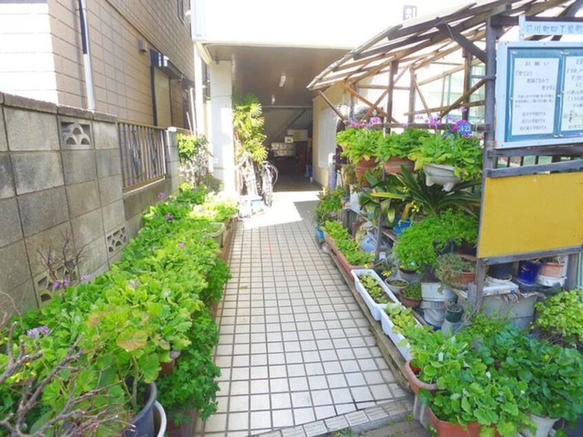 エントランス部分 ホワイトハイツ