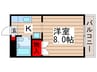 第１１メゾンエステルナ 1Kの間取り