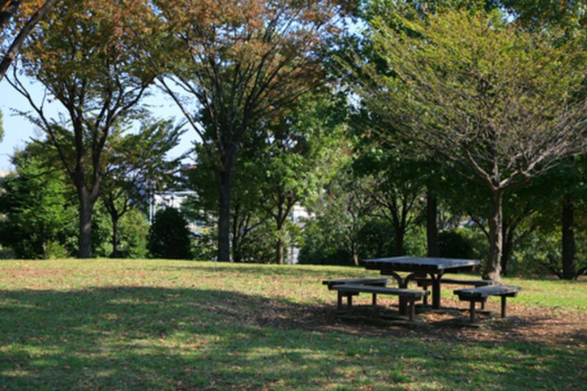 遠藤公園(公園)まで700m トマトハウス