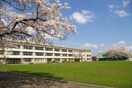東大和市立第四小学校(小学校)まで417m ＹＳハイツ