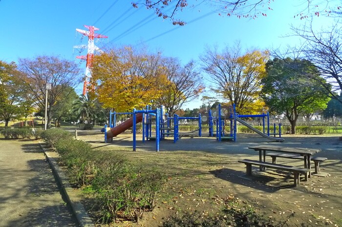 東海面公園(公園)まで160m グレースビル