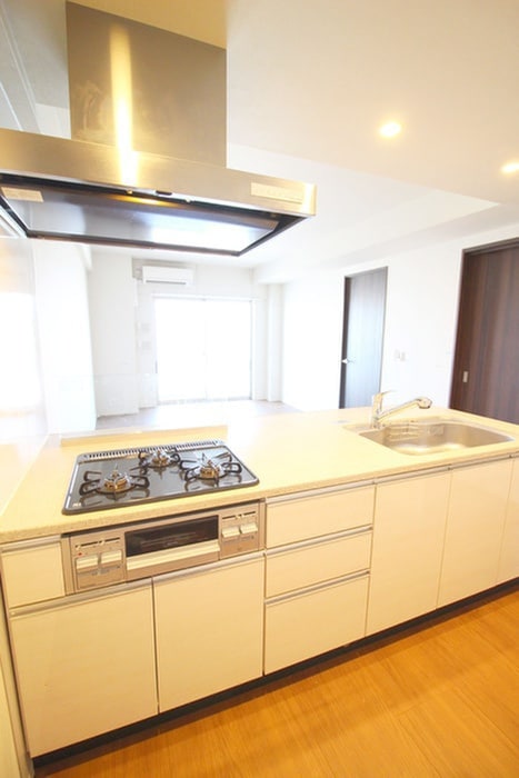 キッチン ＴＳレジデンス東川口