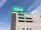 ニトリ(電気量販店/ホームセンター)まで428m ユナイト市場マルチェロ