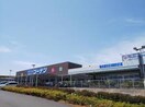 コーナン(電気量販店/ホームセンター)まで565m ユナイト市場マルチェロ