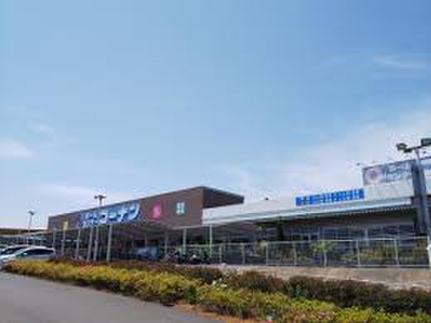 コーナン(電気量販店/ホームセンター)まで565m ユナイト市場マルチェロ
