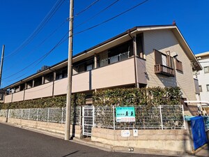 セカンド．ジュネス