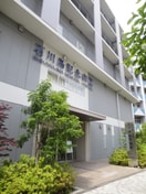 石川島記念病院(病院)まで278m パティーナ月島（803）