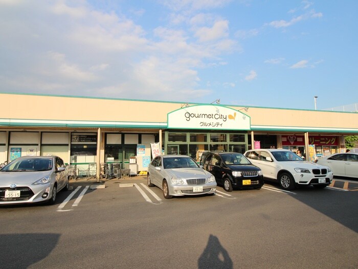 グルメシティ光が丘店(スーパー)まで229m サン・トキワ