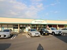 グルメシティ光が丘店(スーパー)まで229m サン・トキワ