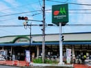 マルエツ　東久留米店(スーパー)まで642m persimmon
