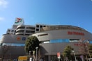 イトーヨーカドー　東久留米店(ショッピングセンター/アウトレットモール)まで1275m persimmon
