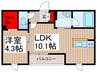 Ｍ´ｓ　Ｍａｎｓｉｏｎ 1LDKの間取り