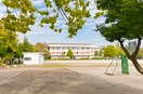 瓦葺小学校(小学校)まで600m リファイン東大宮