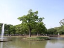 代々木公園(公園)まで972m プラウドフラット渋谷富ヶ谷