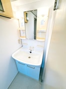 洗面 新所沢グリーンハイツ（415）