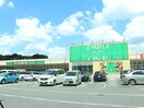 フードワン　八王子堀之内店(スーパー)まで1946m セゾン伊藤