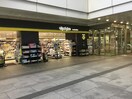 マツモトキヨシ 品川シーサイドフォレスト店(ドラッグストア)まで666m ニューライフ東品川(603)
