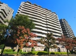 アイムふじみ野南二番館　(504)