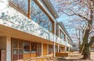 まこと幼稚園(幼稚園/保育園)まで210m 泉ハイツ