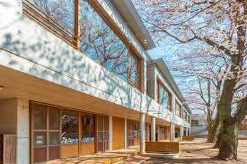 まこと幼稚園(幼稚園/保育園)まで210m 泉ハイツ