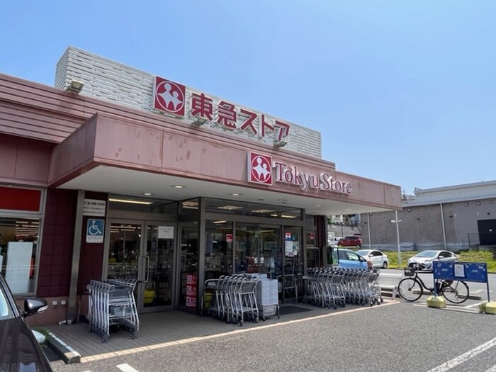 東急ストアたちばな台店(スーパー)まで1300m グリーンハイツ鉄