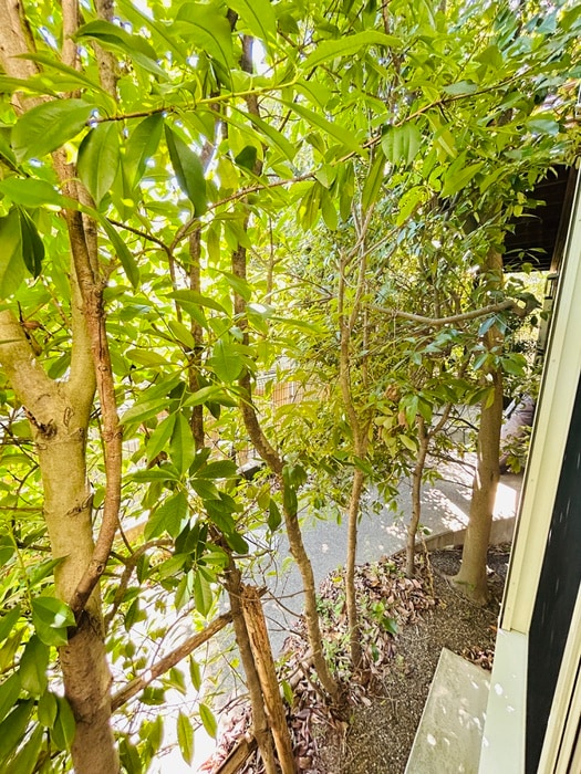 室内からの展望 K.M.H.COURTTERRACE