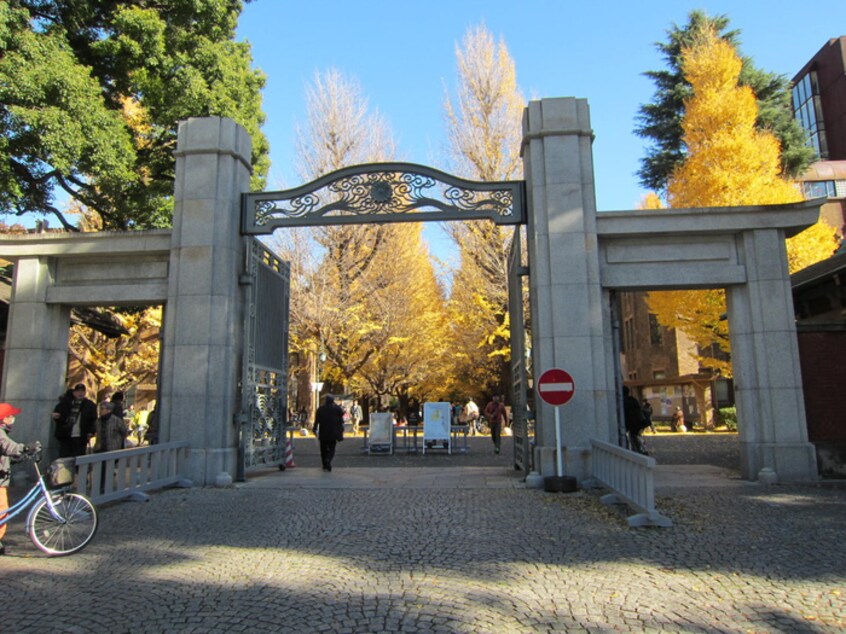 東京大学(大学/短大/専門学校)まで571m レジディア本郷菊坂プレイス