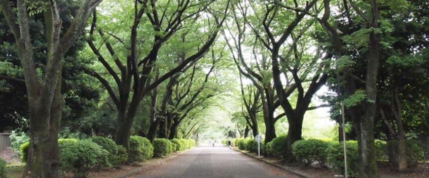 都立「小金井公園」(公園)まで500m グリ－ンコ－ト