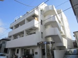 ＴＯＰ横浜吉野町(204)