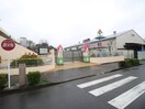 府中佼成幼稚園(幼稚園/保育園)まで800m アミー　ガーデン