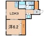 ソフィーネ西小山 1LDKの間取り