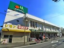 マルエツ(スーパー)まで361m 第2中津ビル